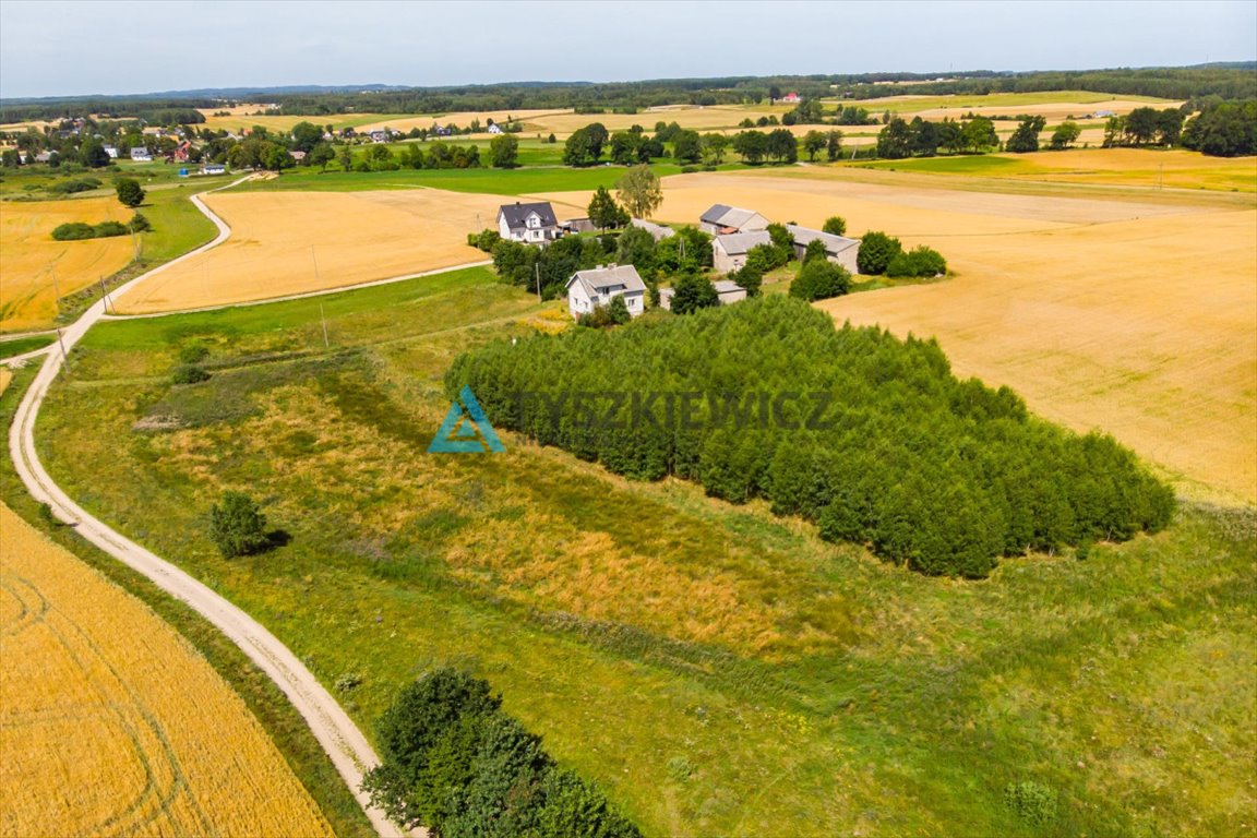 Działka siedliskowa na sprzedaż Szatarpy  56 000m2 Foto 10