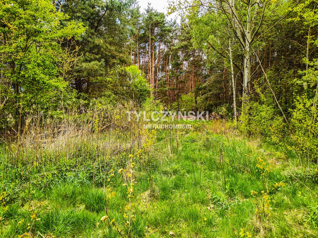 Działka rolna na sprzedaż Franciszków  3 172m2 Foto 2