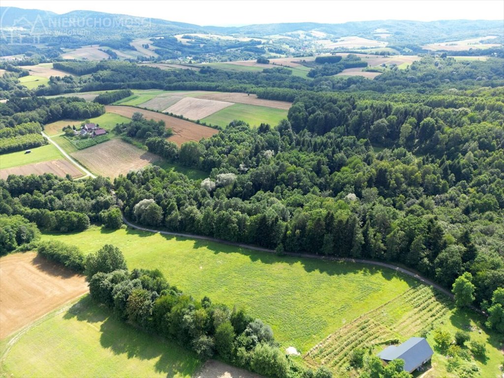 Działka budowlana na sprzedaż Błażkowa  2 559m2 Foto 15