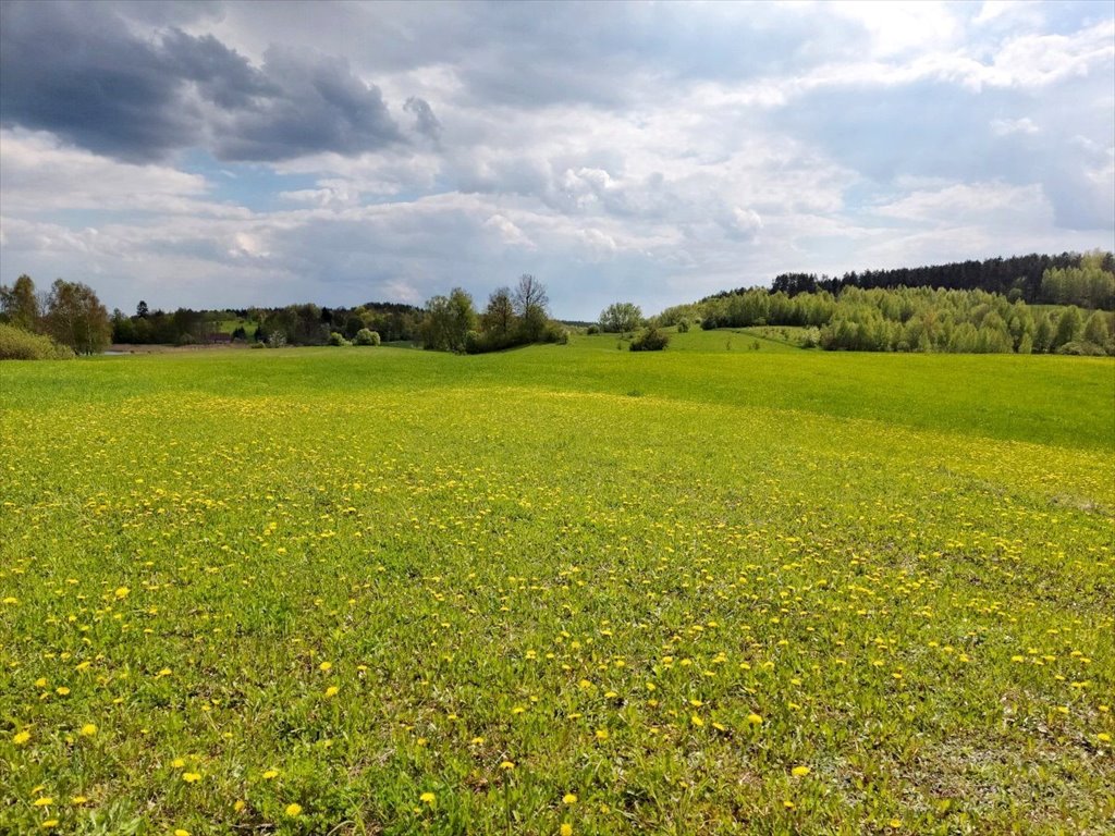 Działka rolna na sprzedaż Jeziorko, Jeziorko  3 018m2 Foto 7