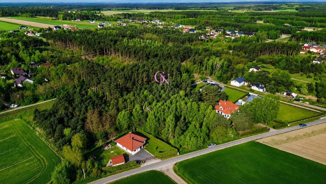Działka 4000 m2 z lasem, warunki zabudowy, dostęp do drogi Zawały, Platynowa  4 000m2 Foto 1