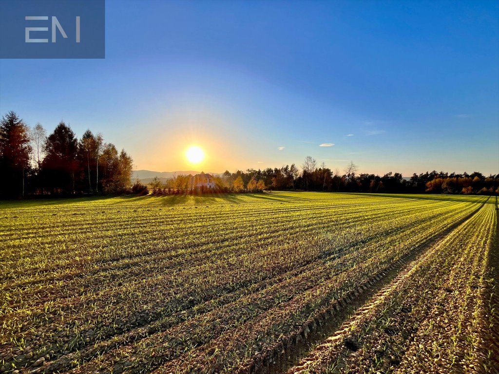 Działka budowlana na sprzedaż Gbiska  2 159m2 Foto 4