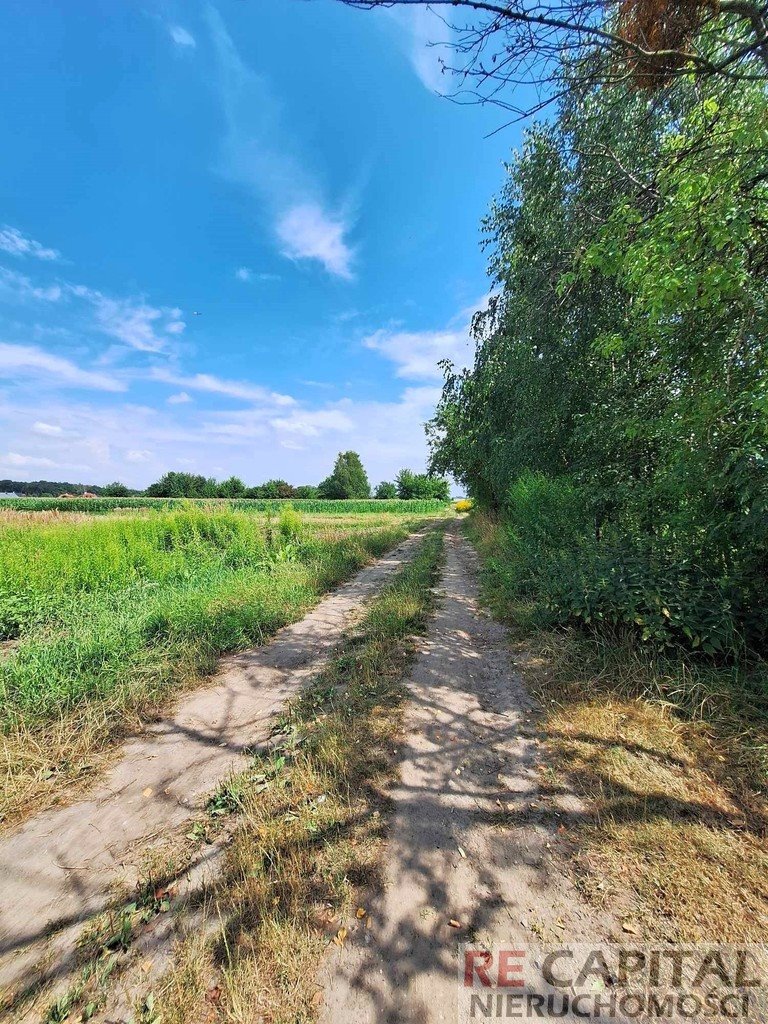 Działka budowlana na sprzedaż Latchorzew  1 496m2 Foto 4