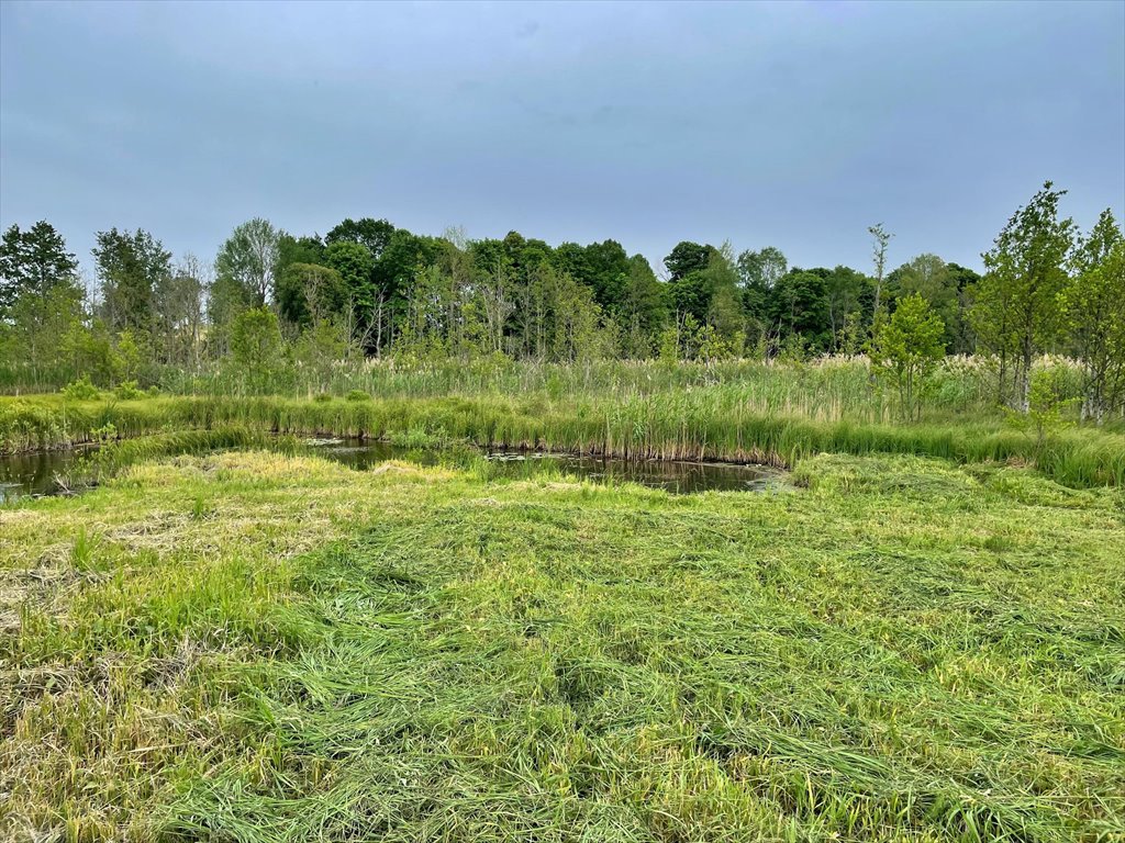 Działka rolna na sprzedaż Elganowo  10 700m2 Foto 15