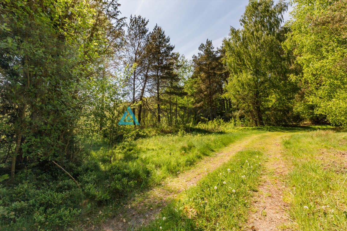 Działka rekreacyjna na sprzedaż Sarnowy  4 500m2 Foto 6