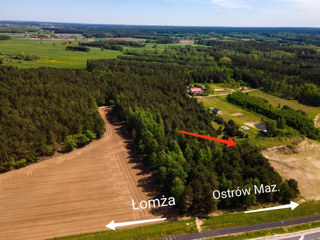 Działka inna na sprzedaż Sulęcin-Kolonia  4 400m2 Foto 6