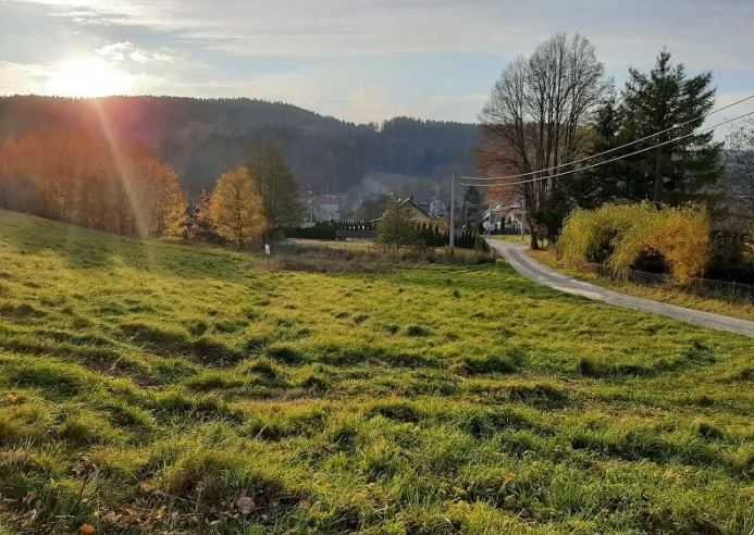 Działka inna na sprzedaż Nowa Ruda  10 000m2 Foto 4