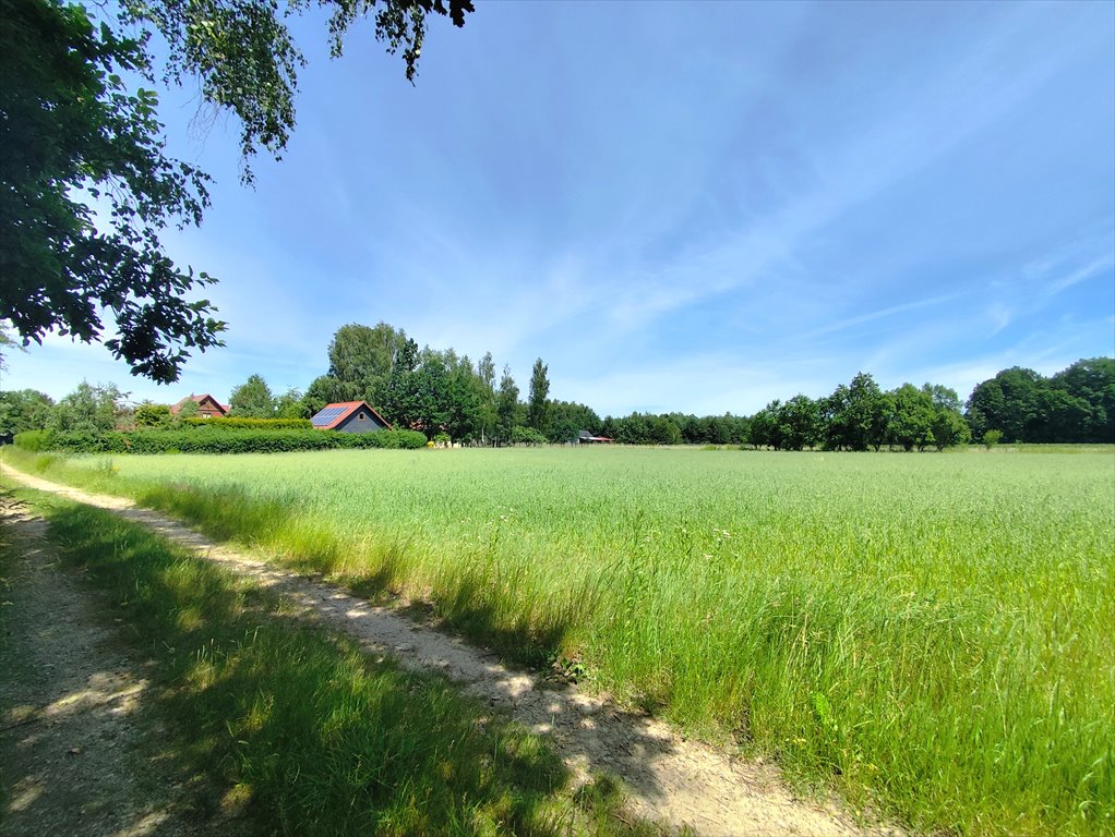 Działka 1765 m² pod zabudowę, las, media - polecam! Słotwiny  1 765m2 Foto 1
