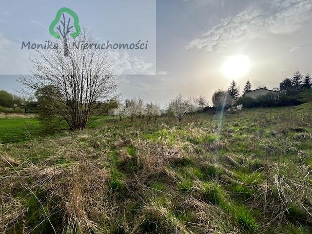 Działka budowlana na sprzedaż Bałdowo, Miła  2 100m2 Foto 15