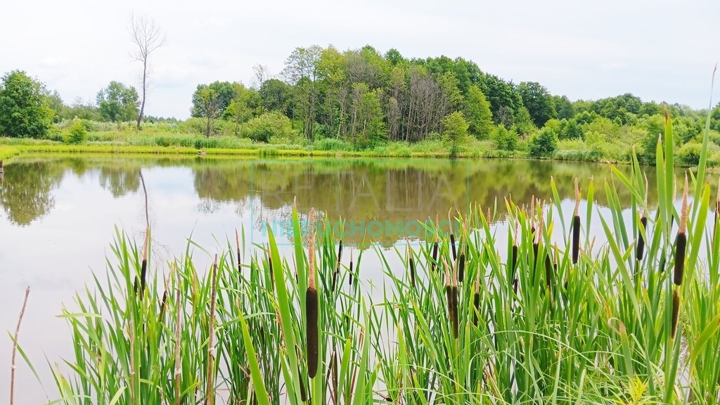 Działka inna na sprzedaż Szczęsne  7 977m2 Foto 1