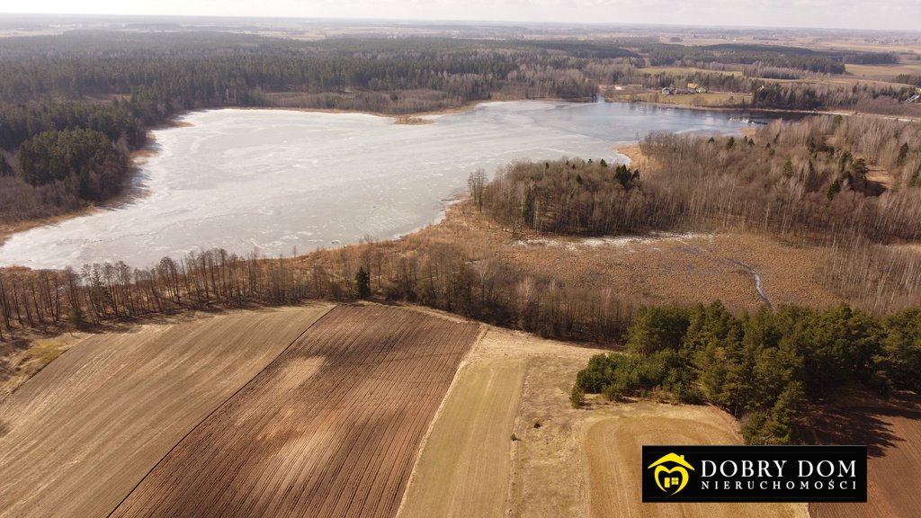 Działka rolna na sprzedaż Stara Kamionka  3 000m2 Foto 4