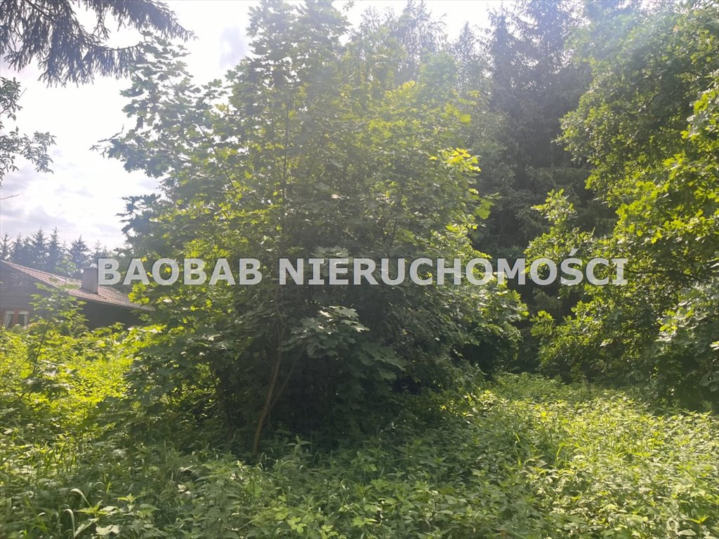 Działka budowlana na sprzedaż Łoś, Łoś, Sołecka  13 200m2 Foto 8