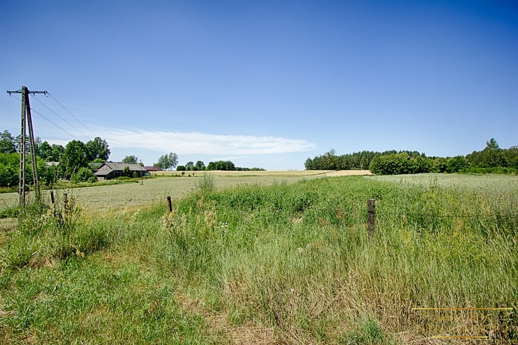 Działka rolna na sprzedaż Kuplisk, Kamienica  28 000m2 Foto 12