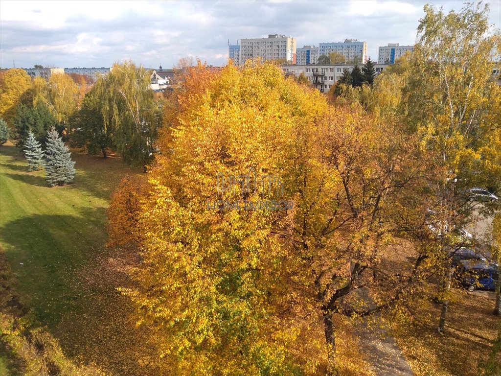 Mieszkanie trzypokojowe na sprzedaż Poznań, Winogrady  47m2 Foto 11