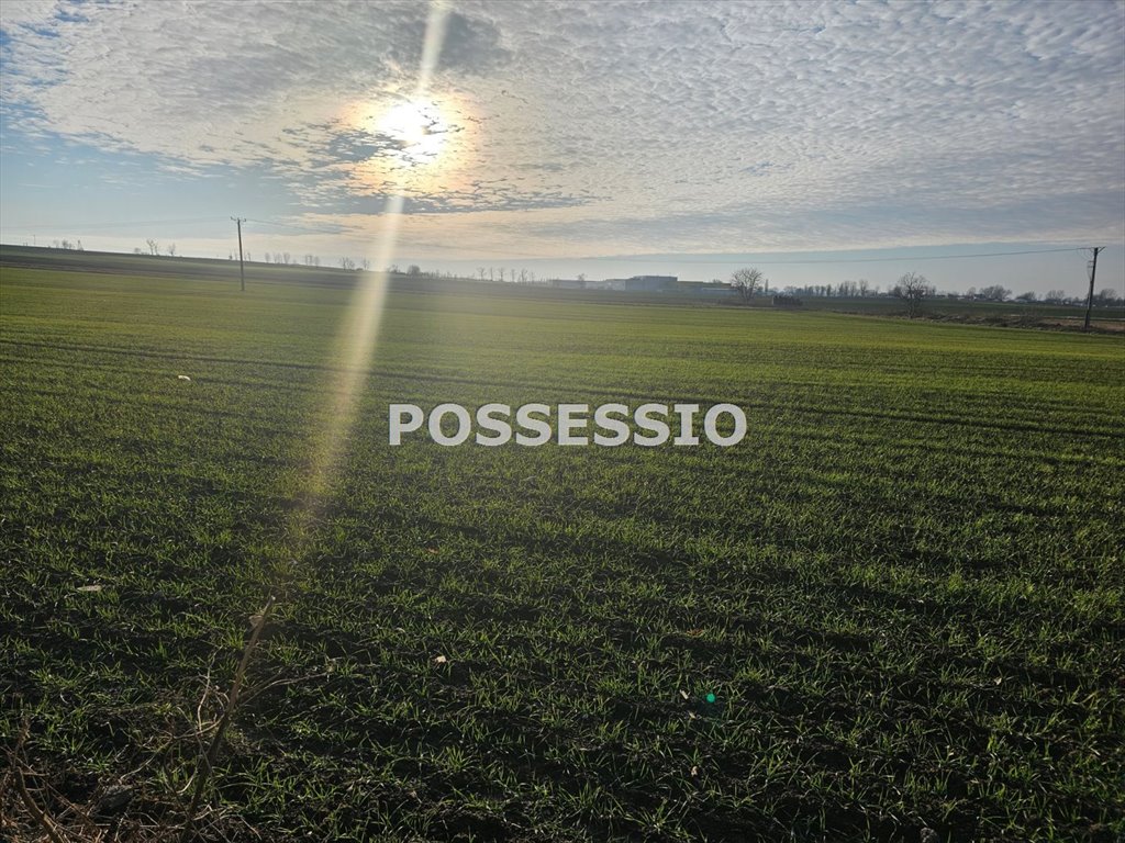 Działka inna na sprzedaż Strzegom  738m2 Foto 2