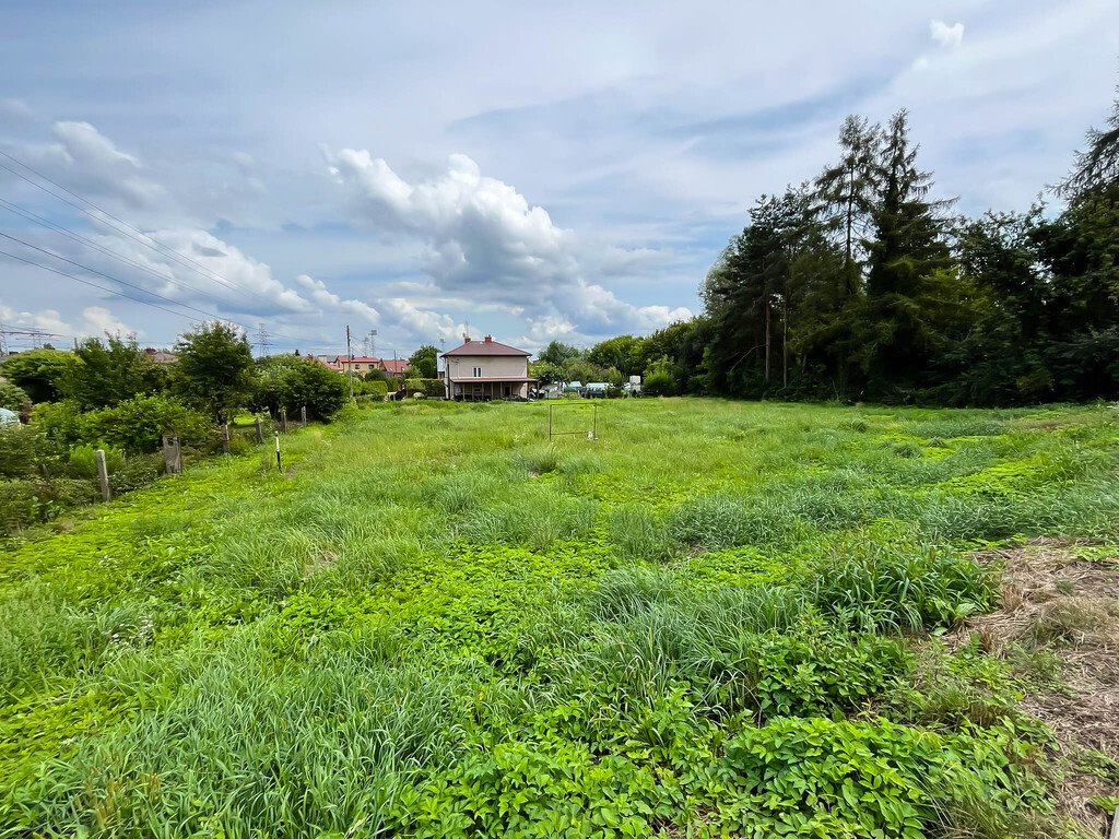 Działka budowlana na sprzedaż Szewna, Zakanale  2 000m2 Foto 14