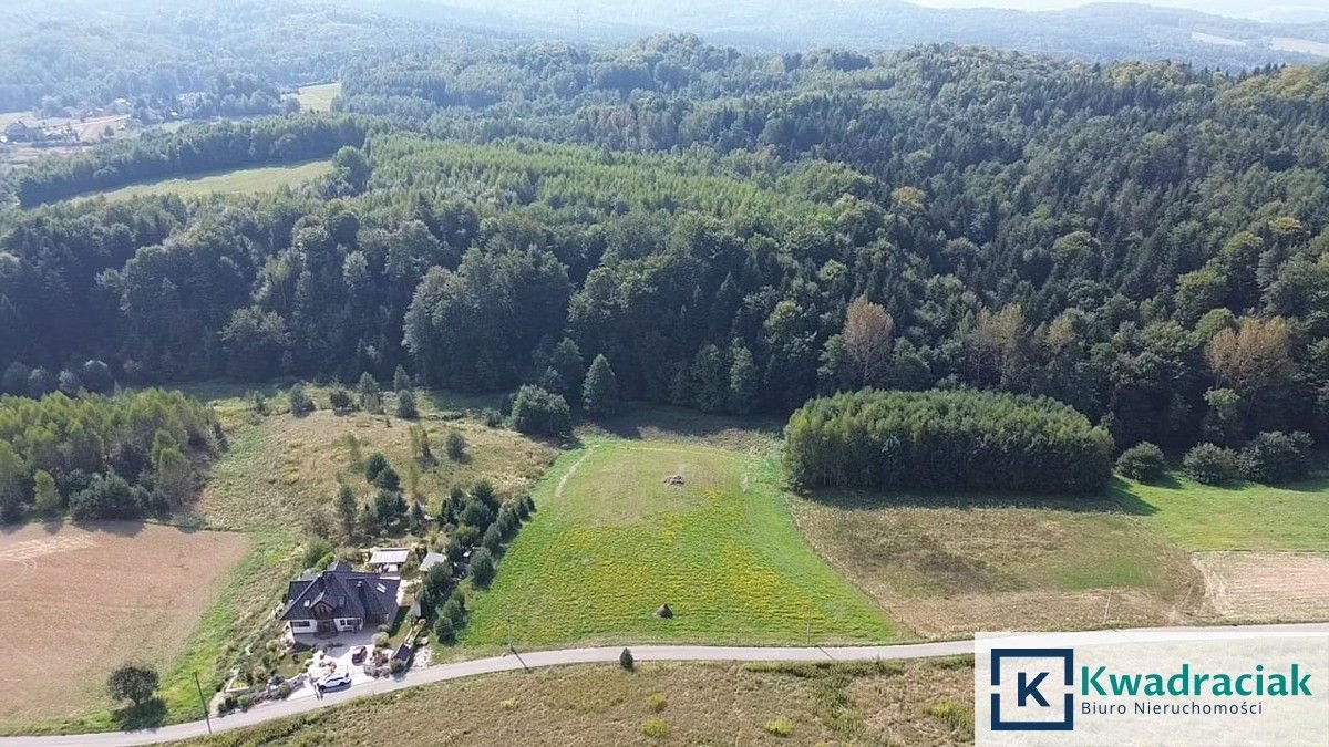 Działka budowlana na sprzedaż Kamienica Górna  5 800m2 Foto 10