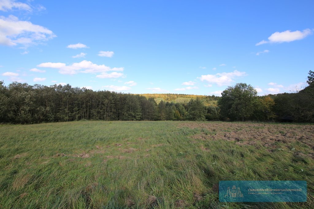 Działka budowlana na sprzedaż Hucisko Jawornickie  7 700m2 Foto 5