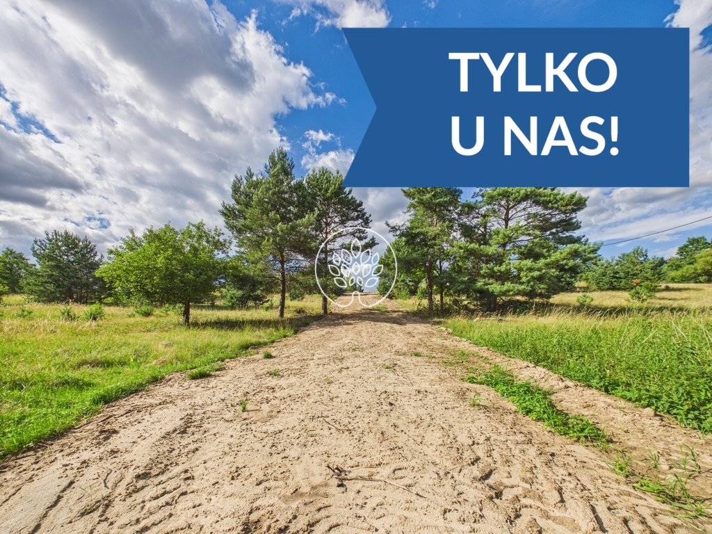 Działka 8 200 m² z warunkami zabudowy i mediami Zgoda  8 200m2 Foto 1