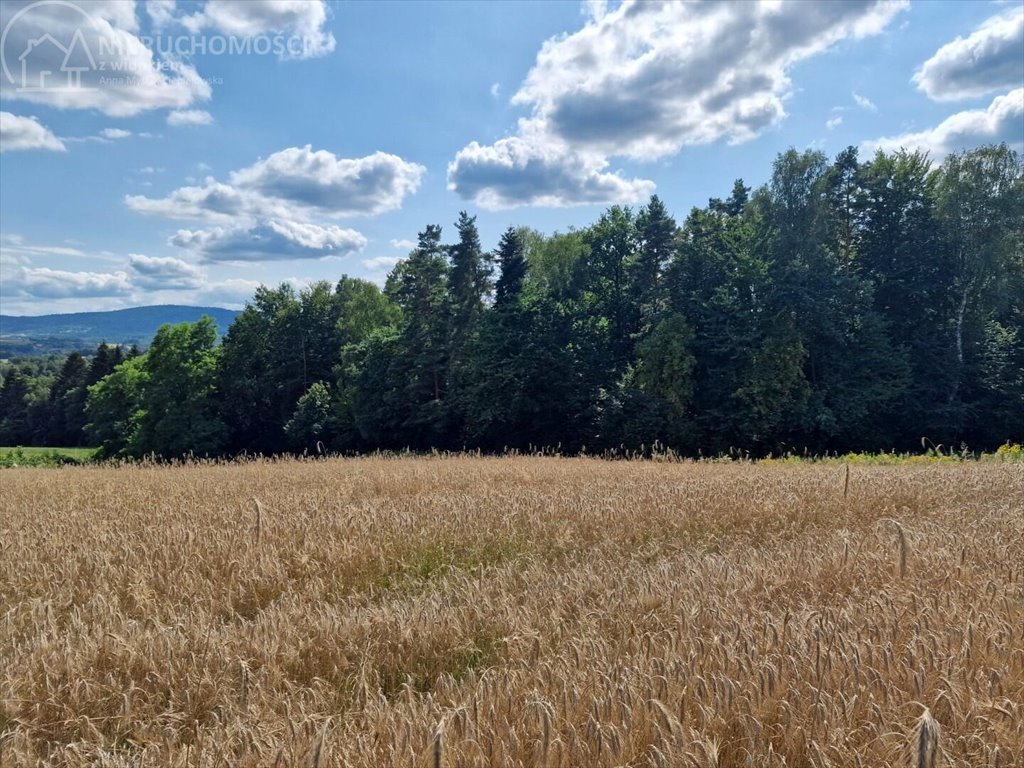 Działka budowlana na sprzedaż Błażkowa  2 200m2 Foto 5