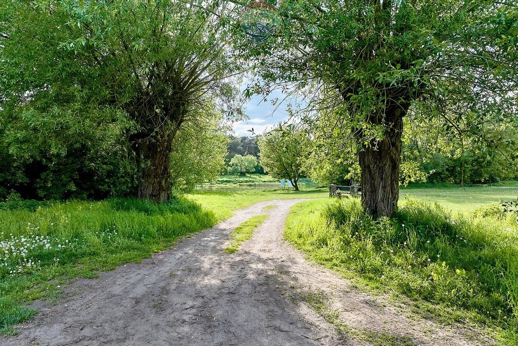 Działka budowlana na sprzedaż Mściszewo  6 400m2 Foto 11