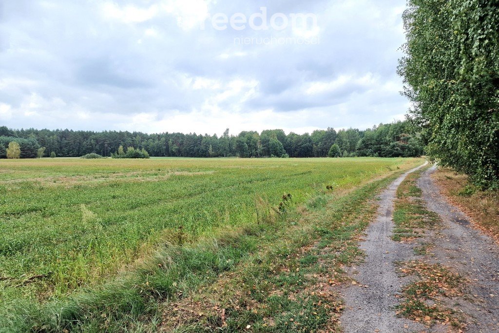 Działka inna na sprzedaż Musiejówka  8 100m2 Foto 12