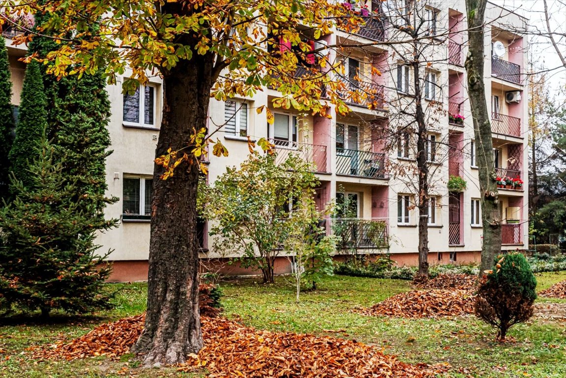 Mieszkanie trzypokojowe na sprzedaż Tarnów, Strusina, Świętej Faustyny  41m2 Foto 9