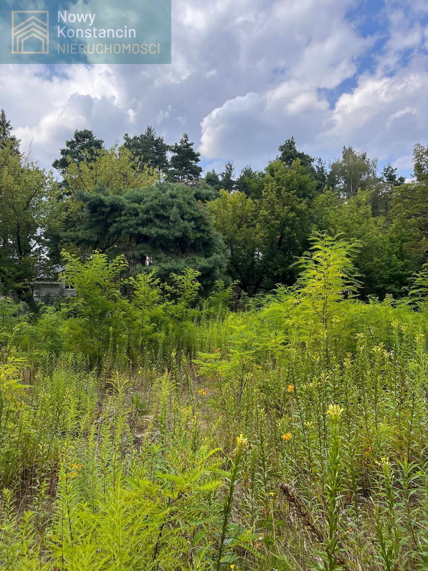 Działka budowlana na sprzedaż Konstancin-Jeziorna, Strefa A Konstancina  1 624m2 Foto 3