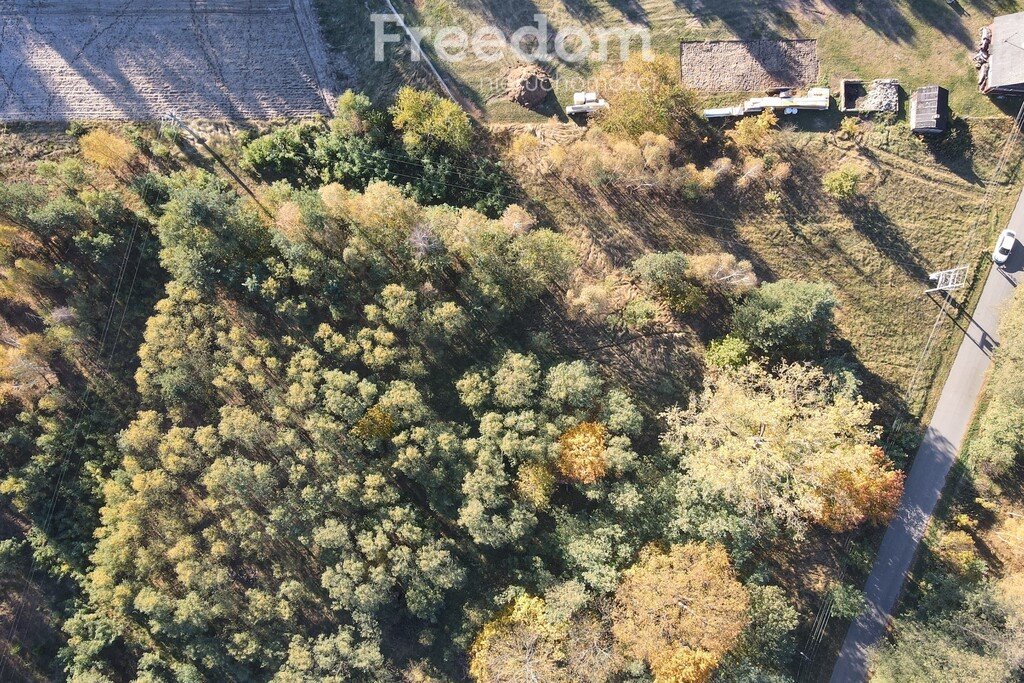 Działka budowlana na sprzedaż Toki  3 000m2 Foto 5