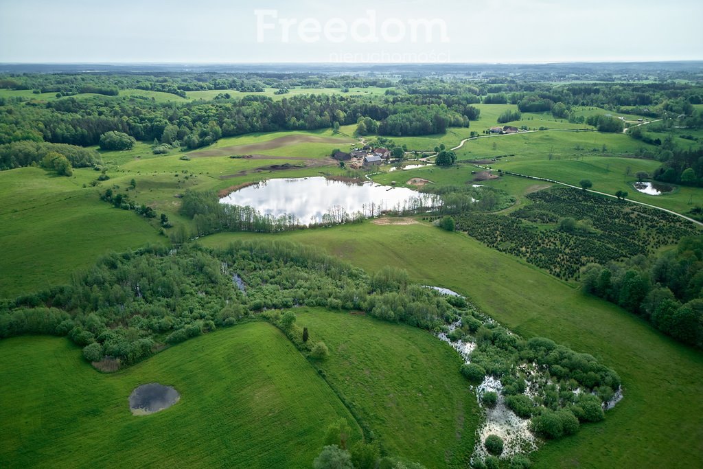 Działka budowlana na sprzedaż Kosewo  12 500m2 Foto 9