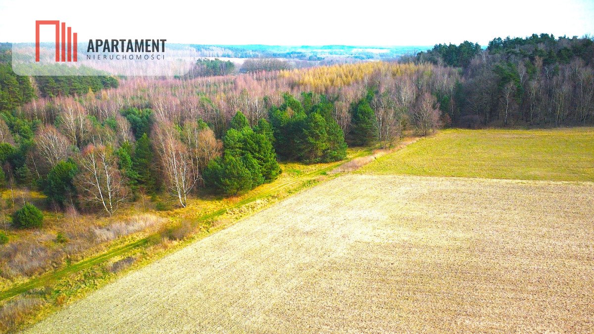 Działka budowlana na sprzedaż Niedary  1 000m2 Foto 7