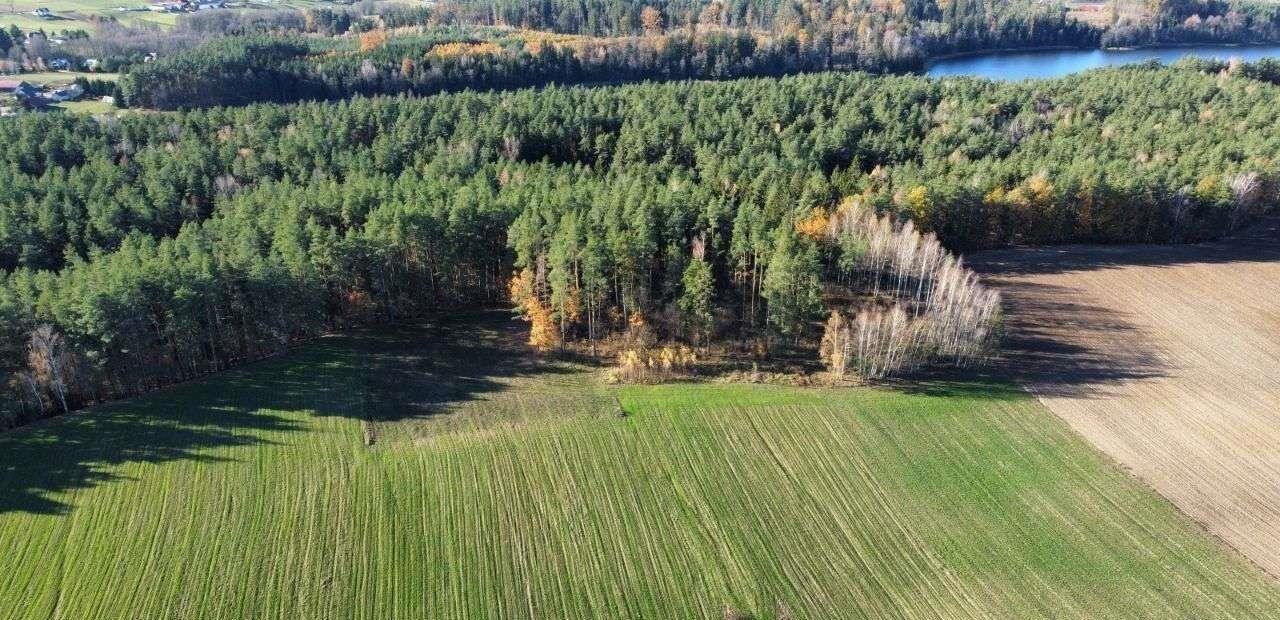 Działka rolna na sprzedaż Bakałarzewo  3 000m2 Foto 8