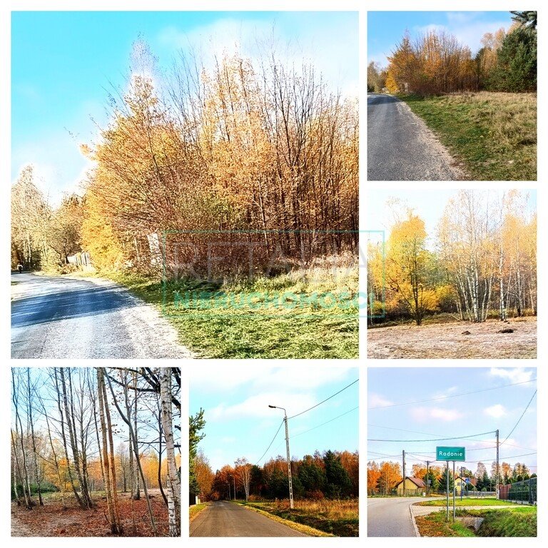 Działka budowlana na sprzedaż Radonie  1 500m2 Foto 5