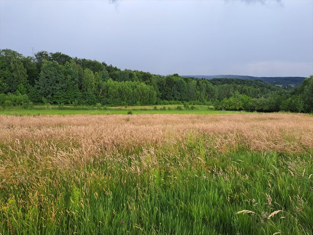 Działka rolna na sprzedaż Sieklówka  8 575m2 Foto 4