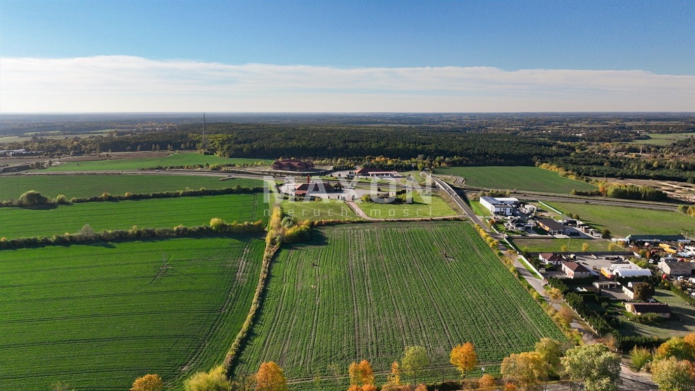 Lokal użytkowy na sprzedaż Wierzbica  1 600m2 Foto 4