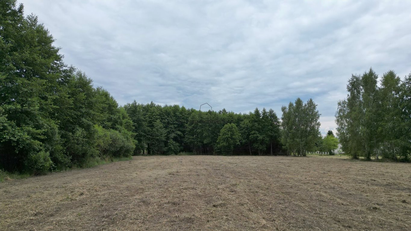 Działka budowlana na sprzedaż Brzesko, Jasień, Kasprowicza  800m2 Foto 4