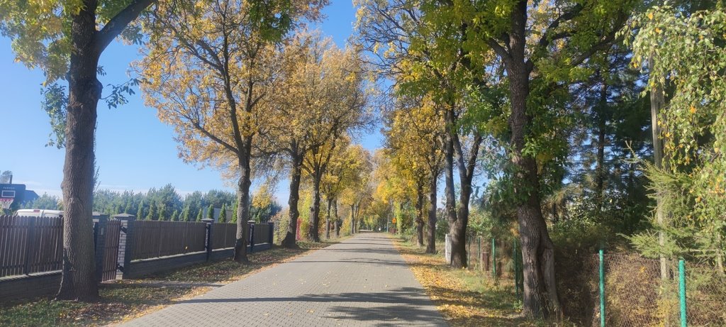 Działka budowlana na sprzedaż Marianów, aleja Kalinowa  3 000m2 Foto 1