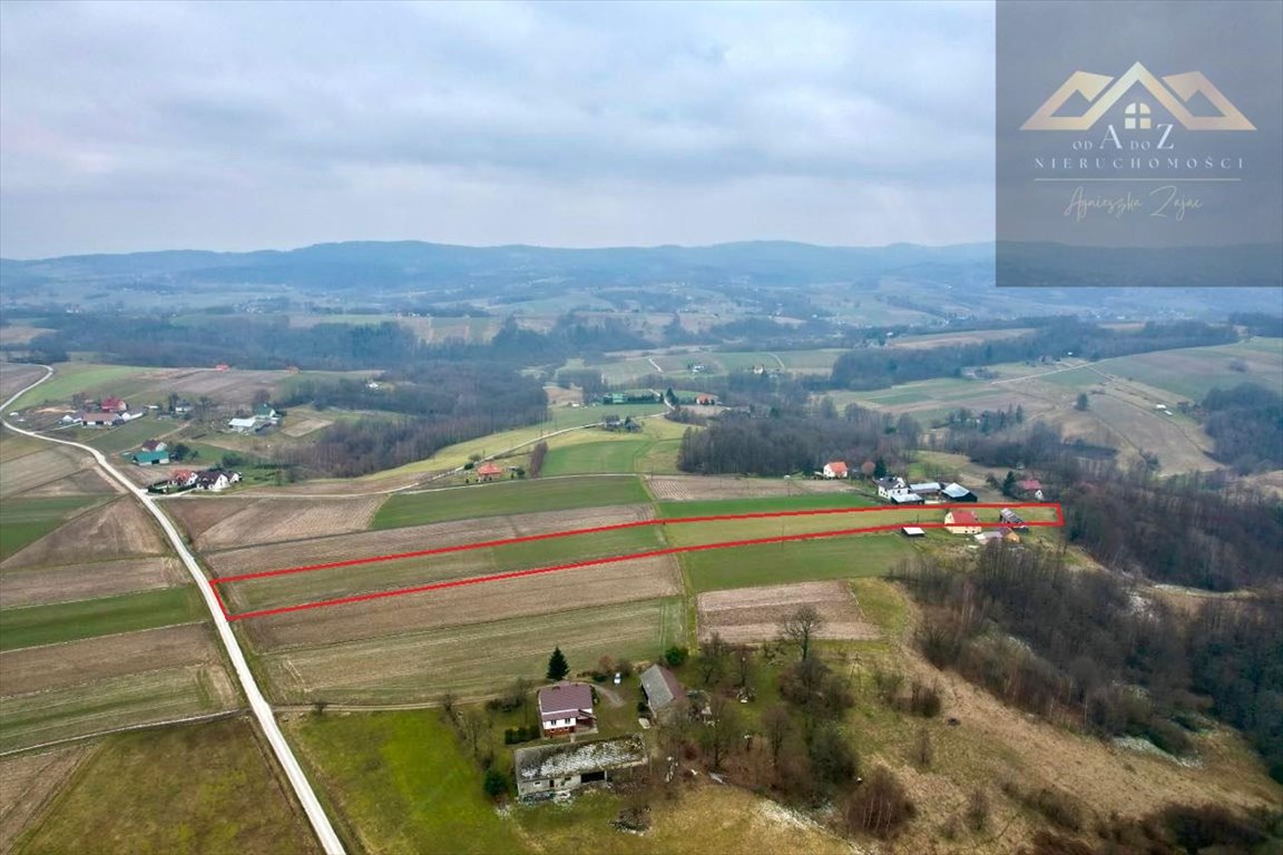 Działka budowlana na sprzedaż Joniny  9 800m2 Foto 3