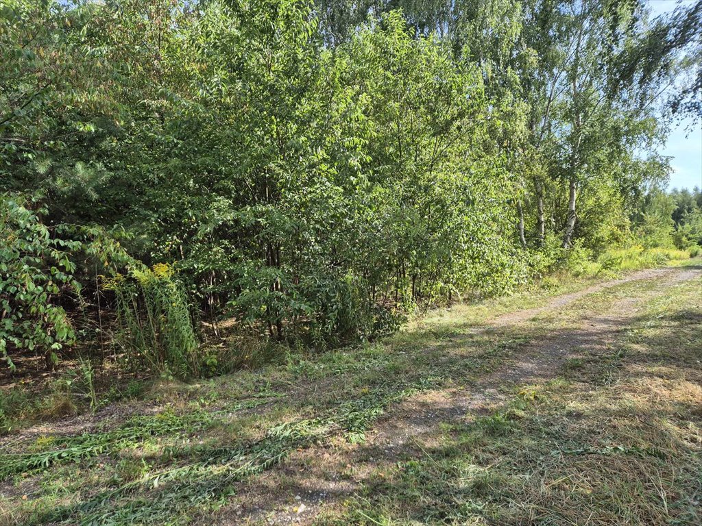 Działka budowlana na sprzedaż Słabomierz, Bażancia  1 430m2 Foto 9