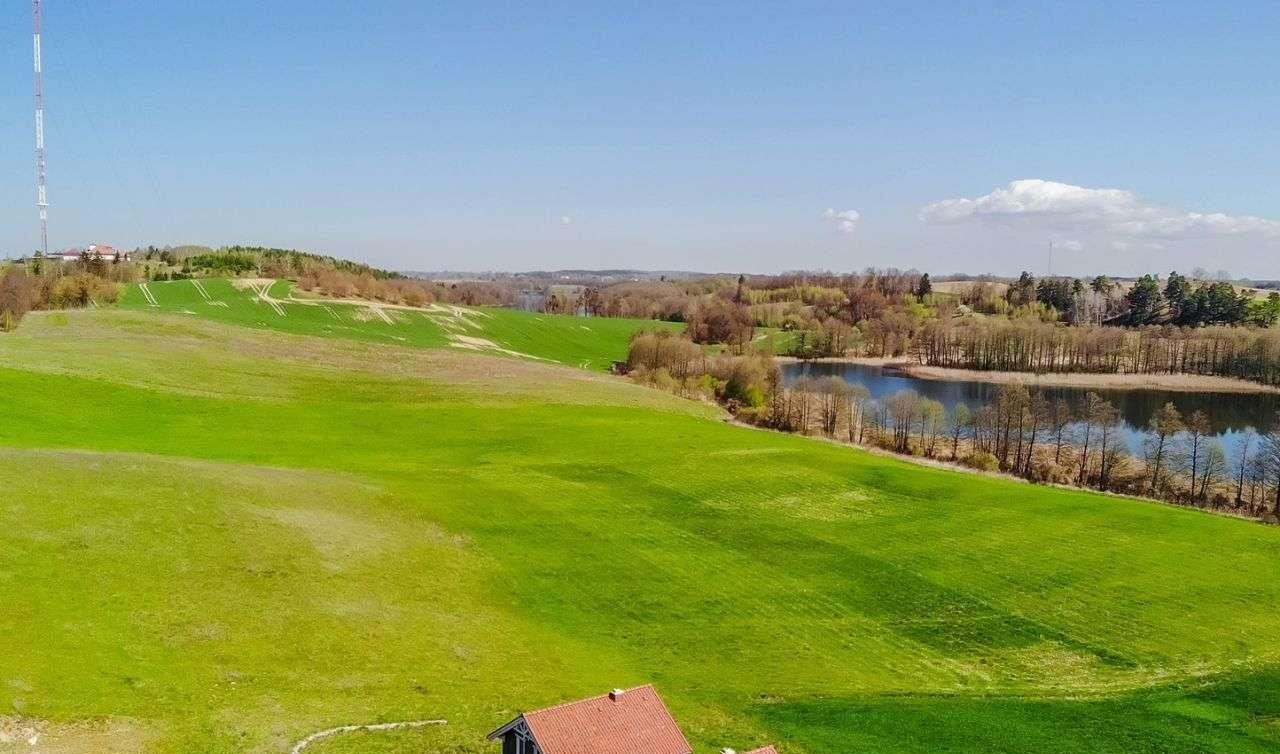 Działka budowlana na sprzedaż Miłki  10 002m2 Foto 3