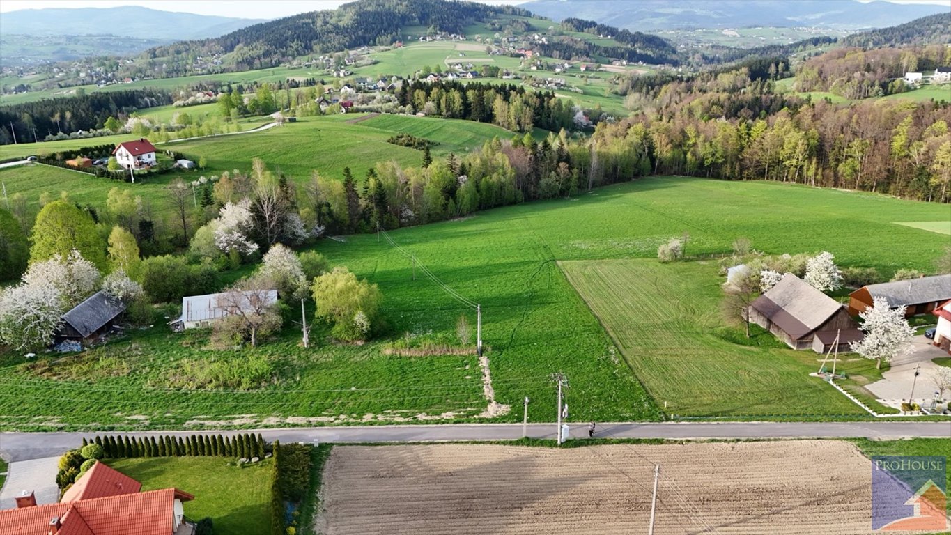 Działka budowlana na sprzedaż Stara Wieś  14 000m2 Foto 6