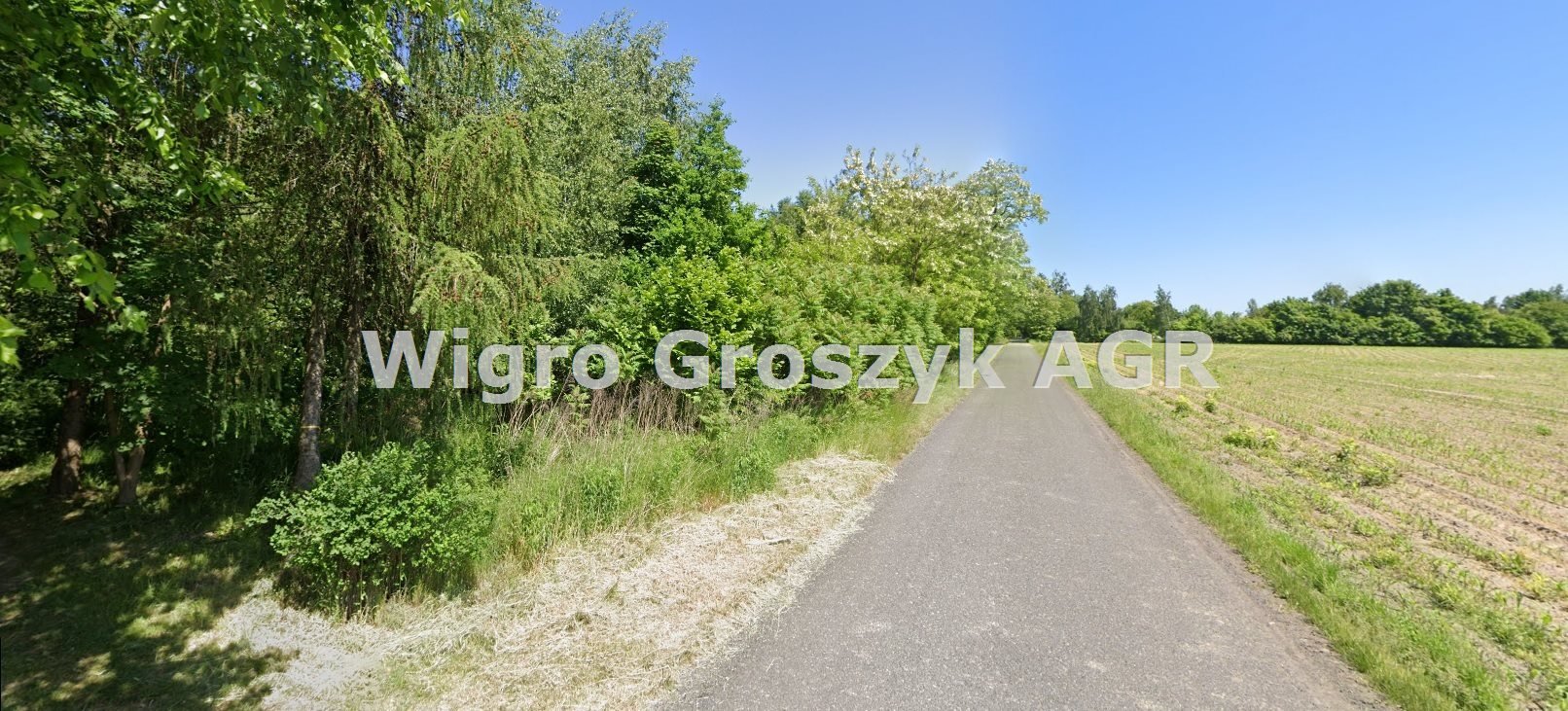 Działka 4327 m² z MPZP pod dom w Pawłowicach Pawłowice  4 327m2 Foto 1