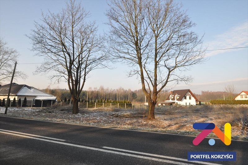 Działka budowlana na sprzedaż Droszków 2 500m2 Foto 1 Działka budowlana na sprzedaż Droszków 2 500m2 Foto 1