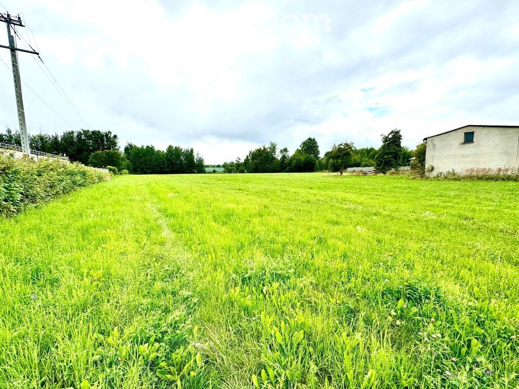 Działka przemysłowo-handlowa na sprzedaż Woźniki, Cegielniana  6 360m2 Foto 1