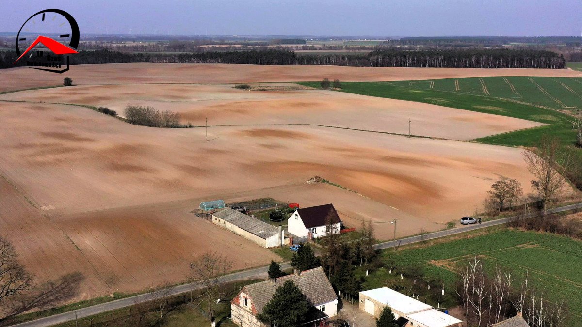 Działka budowlana na sprzedaż Dzierzążno  1 404m2 Foto 11