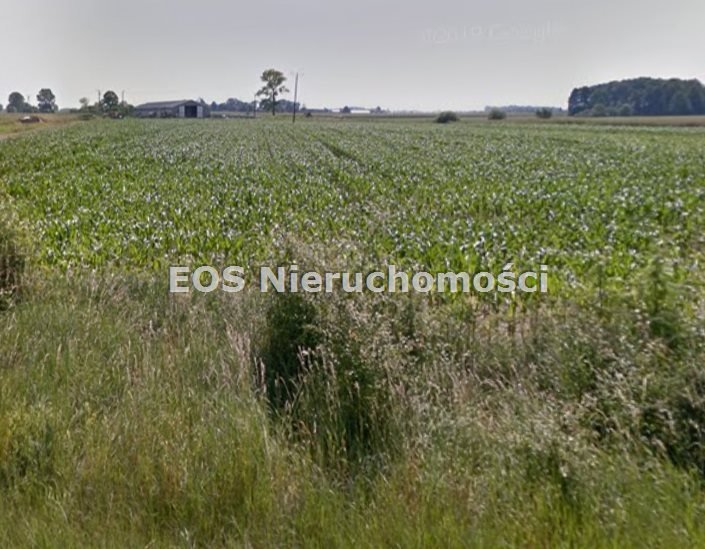 Działka inna na sprzedaż Ryczywół, Marcinkowskiego  49 700m2 Foto 8