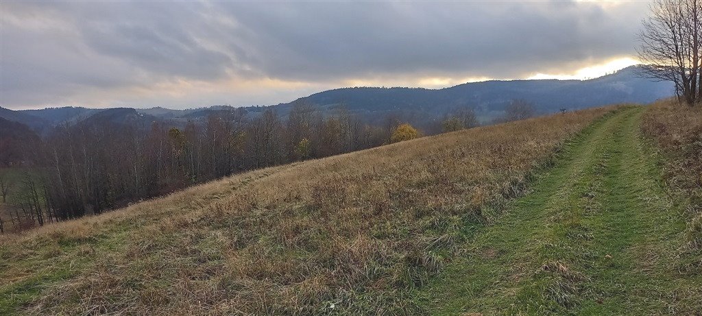 Działka inna na sprzedaż Walim  1 937m2 Foto 10