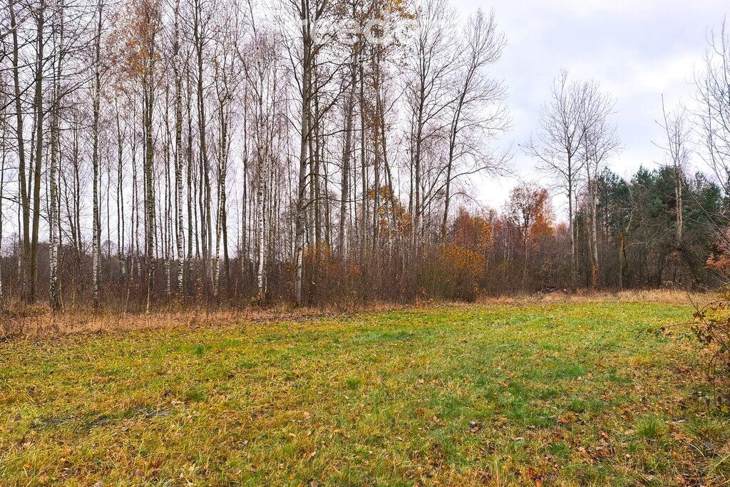 Działka siedliskowa na sprzedaż Łosiewice  33 300m2 Foto 6