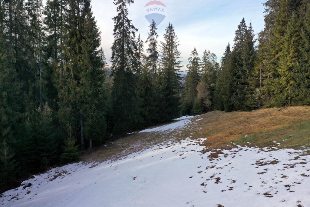 Działka rolna na sprzedaż Brzegi  4 535m2 Foto 11