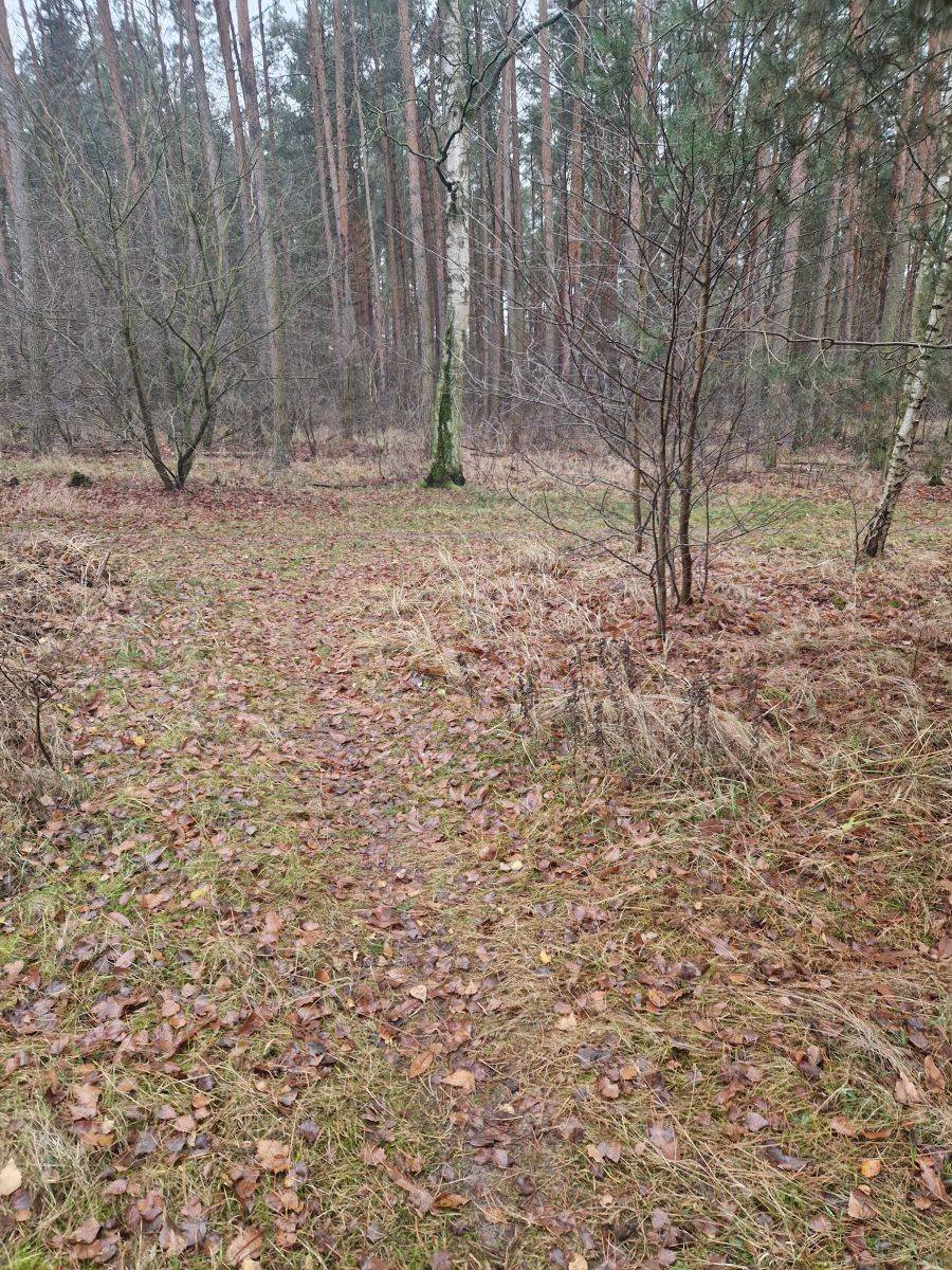 Działka budowlana na sprzedaż Kamionki  1 160m2 Foto 10